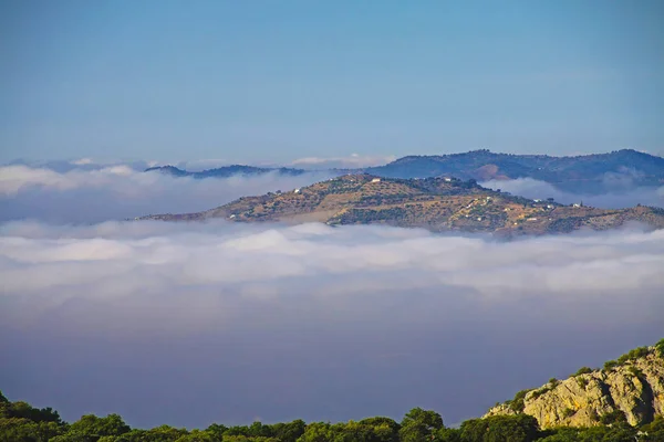 Piękny Spokojny Poranek Górski Krajobraz Morze Niskich Chmur Warstwowych Szczyt — Zdjęcie stockowe