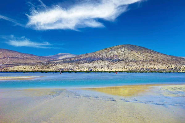 Güzel Gelgit Kıyı Manzarası Kumsal Issız Kumsallar Akıntıları Çorak Kum — Stok fotoğraf