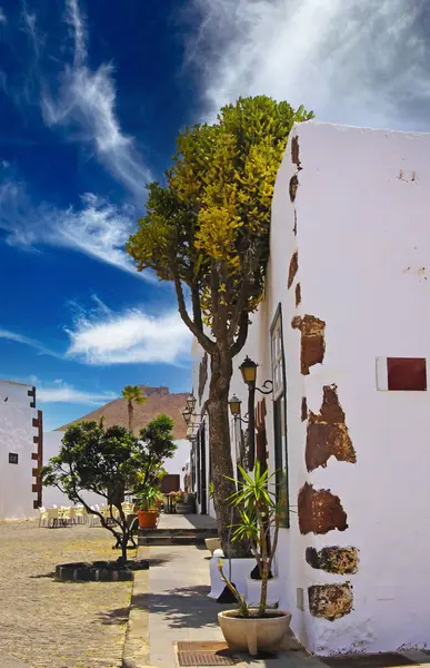 Prachtige Straat Met Heldere Witte Huizen Bomen Smal Aan Muur — Stockfoto