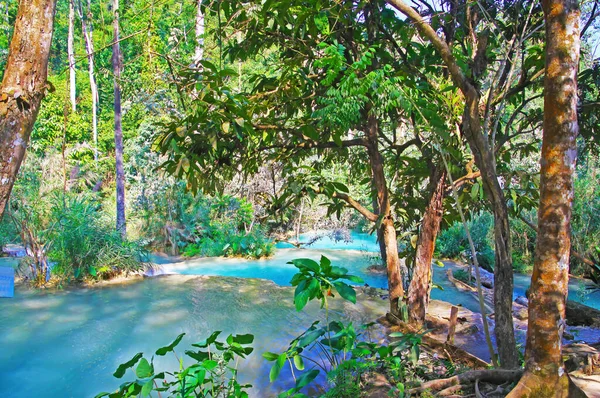 Beautiful Secluded Lonely Tropical Waterfall Landscape Green Jungle Forest Rock — Stock Photo, Image