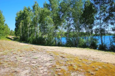 Güzel Hollanda manzarası, kum tepeleri, yeşil ağaçlar, göl, mavi yaz gökyüzü - Maasduinen NP, Hollanda