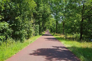 Hollanda 'nın Brabant Eindhoven bölgesinde, Hollanda su kanalı boyunca yeşil orman boyunca (Eindhovensche Kanaal) güzel kırmızı bisiklet yolu