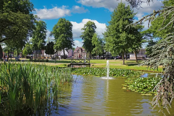 Beautiful Idyllic Green Dutch Town Park Pond Wood Bridge Blue — Stockfoto
