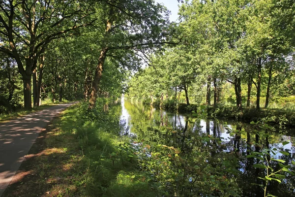 Bela Idílica Ciclovia Panorâmica Longo Canal Água Holandês Floresta Verde — Fotografia de Stock