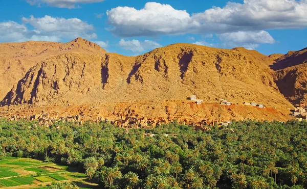 Beautiful Limestone Mountains Landscape Palm Grove Oasis Typical Berber Clay — Zdjęcie stockowe