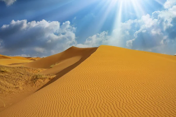 Beautiful African Desert Landscape Triangle Shape Yellow Sand Dune Dramatic — Stock Fotó
