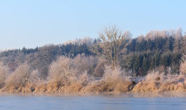 Winter landscape with trees covered with frost behind a body of water in the morning at sunrise