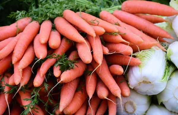 Großaufnahme Von Frischen Orangefarbenen Karotten Die Übereinander Gestapelt Neben Anderem — Stockfoto