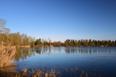Mavi bir göl kışın çıplak ağaçlarla çevrili, mavi gökyüzüne karşı ve Bavyera 'daki eski sazlıkların arkasında