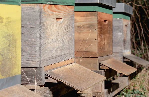 Several Wooden Apiaries Stand Next Each Other Outdoors Winter — Stock Photo, Image