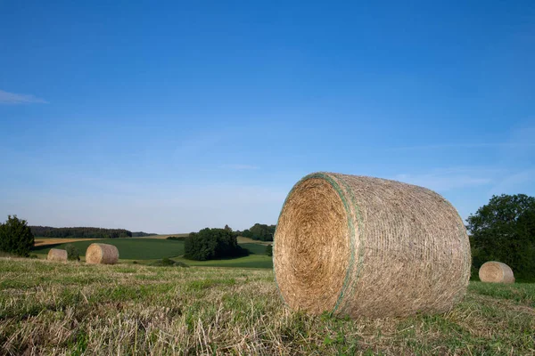 Čerstvě Srolované Balíky Sena Jsou Rozloženy Trávě Mezi Zvlněnými Zelenými — Stock fotografie