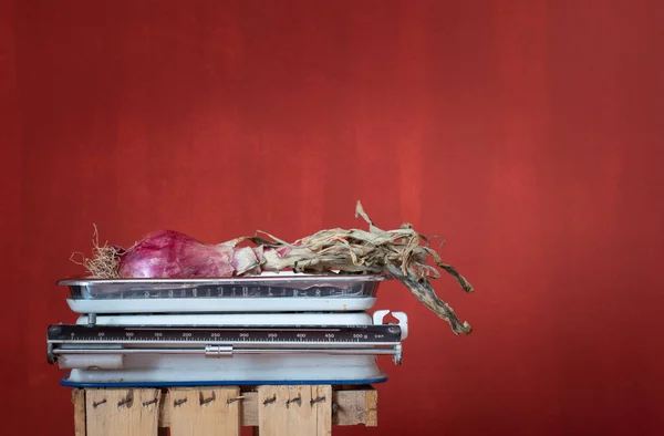 Old Kitchen Scale Stands Red Background Space Text Red Onion —  Fotos de Stock