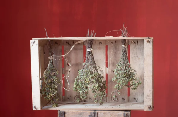 Three bundles of oregano hang to dry in a fruit crate. The box stands against a red background and artistically represents the preservation of food.