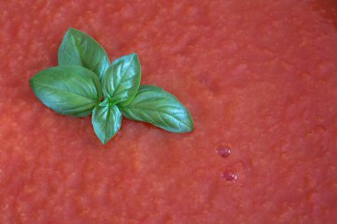 Background and texture of red fresh tomato sauce topped with a small bunch of basil. There is space for text.