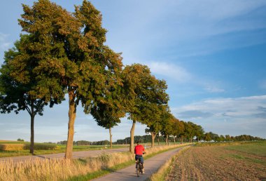Akşamları, bir bisikletçi Bavyera kırsalında bisiklet yolu boyunca gider. Yol boyunca bir sürü yaprak döken ağaç var. Gökyüzü mavi ve akşam güneşi manzarayı aydınlatıyor..