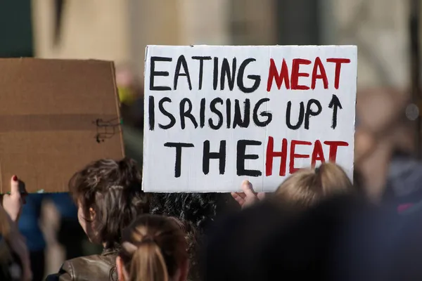 Helsinki Finlandia Abril 2019 Manifestante Llevando Letrero Comer Carne Está — Foto de Stock