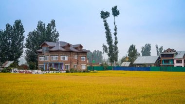 Sonamarg kaşmir 'in güzel manzarası