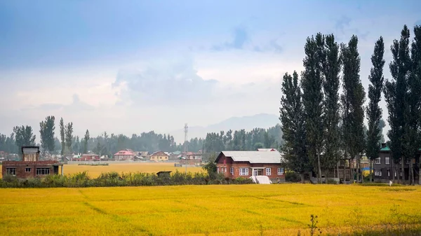 Beautiful Landscape Sonamarg Kashmir — Stock Photo, Image