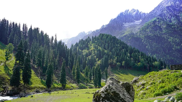 Beautiful Landscape Sonamarg Kashmir — Stock Photo, Image