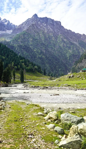 Wunderschöne Landschaft Sonamarg Kashmir — Stockfoto