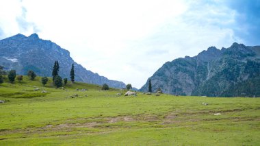 Sonamarg kaşmir 'in güzel manzarası