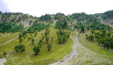 Sonamarg kaşmir 'in güzel manzarası