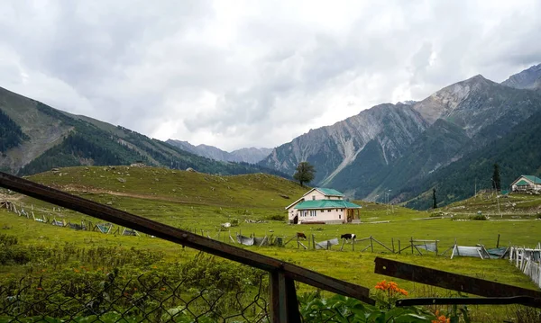 Piękny Krajobraz Sonamarg Kashmir — Zdjęcie stockowe