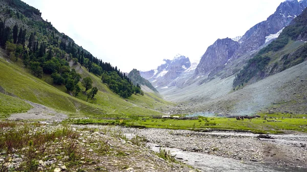 Piękny Krajobraz Sonamarg Kashmir — Zdjęcie stockowe