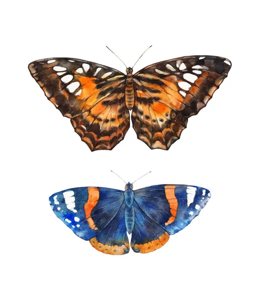 Butterflies Watercolor Illustration White Background — Stockfoto