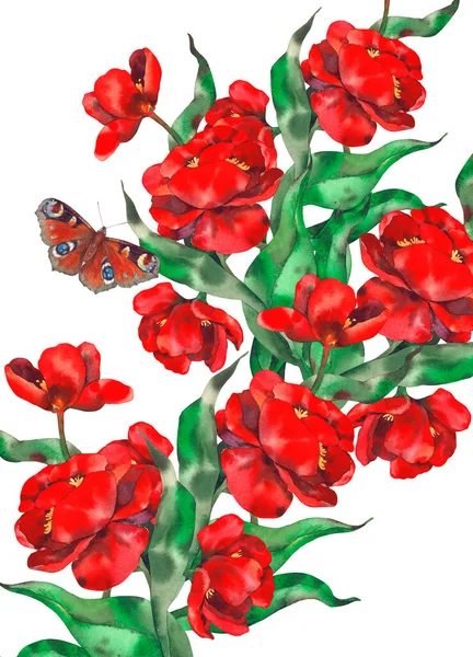Tebrik Kartı Çiçek Arkaplan Suluboya Çizimi — Stok fotoğraf