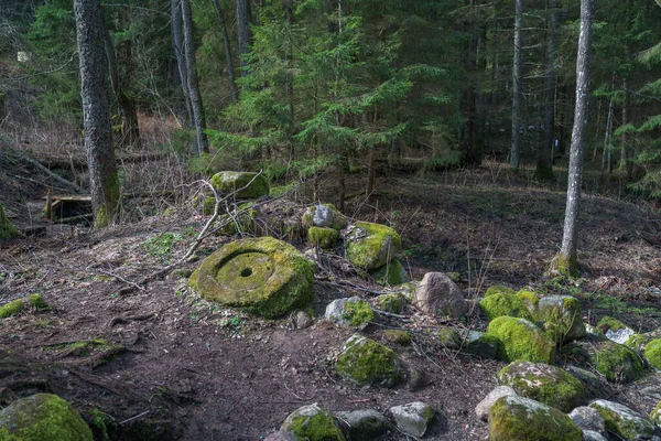 Millstone. Eski bir değirmenin kalıntıları.