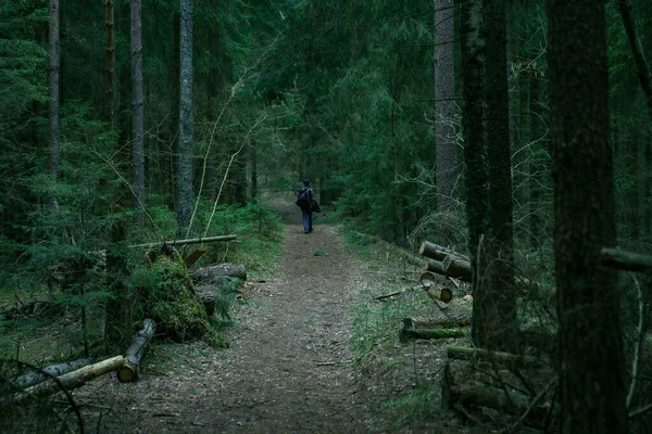 Path Dark Mysterious Forest — Foto de Stock