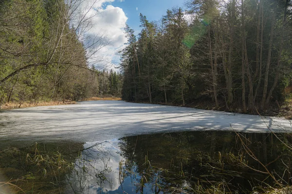 Ice Forest Lake Spring — Stockfoto
