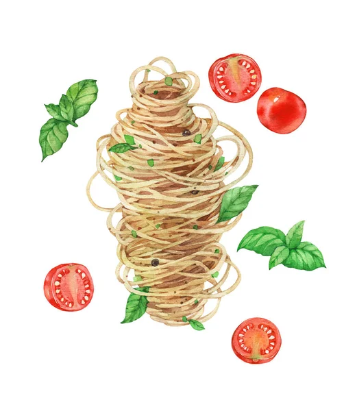 Makarna, spagetti ve domates. Beyaz arkaplanda suluboya çizimi.