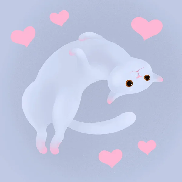 Hvit Katt Hjerte Digital Illustrasjon – stockfoto