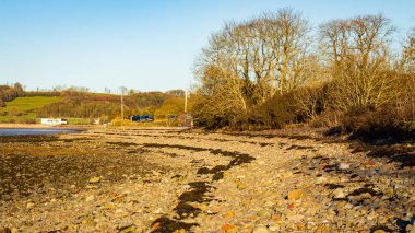 Wrack Bölgesi İskoçya 'da kış aylarında Cobble Sahili' nin yüksek gelgit çizgisini gösteriyor.