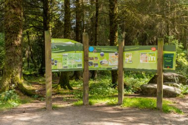 Loch Ard, İskoçya - 25 Temmuz 2021: Loch Ard Kraliçesi Elizabeth Forest Park Bilgi İşareti