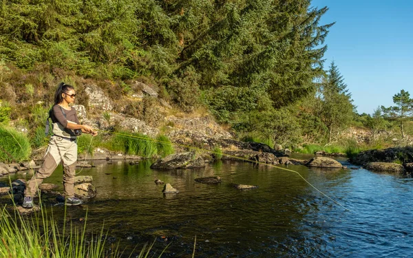 Una Giovane Asiatica Pesca Mosca Femminile Fiume Una Serata Estiva — Foto Stock