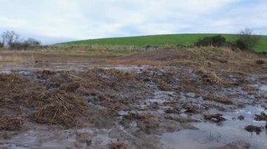 Islak arazi restorasyon projesi Threave Estate, İskoçya 'nın bir parçası olarak sızan bir sel bankasından akan su