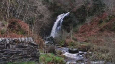 Islak arazi restorasyon projesi Threave Estate, İskoçya 'nın bir parçası olarak sızan bir sel bankasından akan su