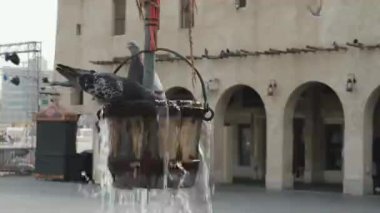 Katar 'ın Doha kentindeki Souq Waqif' teki Eski Kuyudan bir kova su çalan güvercinler