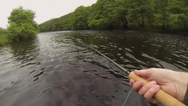 Fisherman Spey Casting Salmon Using Fly Rod River Orchy Argyll — Stock Video
