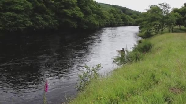 一名男子在苏格兰阿吉耶河畔捕鲑鱼 — 图库视频影像