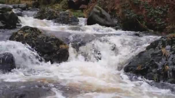 苏格兰高地溪流或燃烧的冬季径流和湍急的水流 — 图库视频影像
