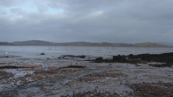 Stream Flowing Balcary Bay Low Tide Scottish Coast Winter Salmon — Stock Video