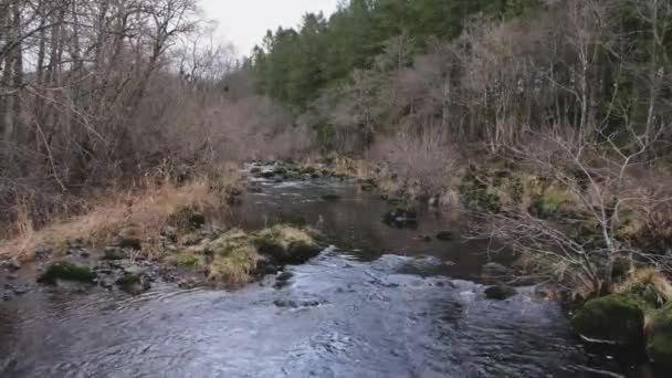 Ένα Αφυδατωμένο Νερό Χαμηλής Ροής Του Deugh Κάτω Από Φράγμα — Αρχείο Βίντεο