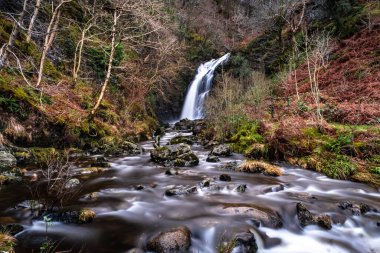 Grey Mare 'in Kuyruk Şelalesi Kışın yanıyor, Galloway Orman Parkı, İskoçya