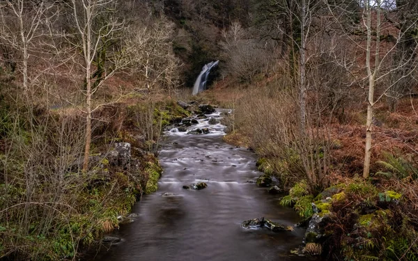 Grey Mare 'in Kuyruk Şelalesi Kışın yanıyor, Galloway Orman Parkı, İskoçya