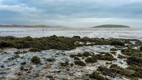 Stream Flowing Balcary Bay Salmon Fishing Nets Hestan Island Background — Photo