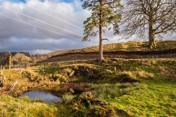 Zöld Kút Skócia Carsphairn Dumfries Galloway Skócia — Stock Fotó